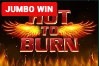 Hot to Burn slot game at QwickBirr