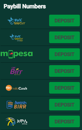 QwickBirr accepts Visa payments