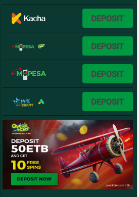 QwickBirr accepts Mastercard payments